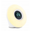 ADE Alarm Clock with Radio Wake-up Light CK 1