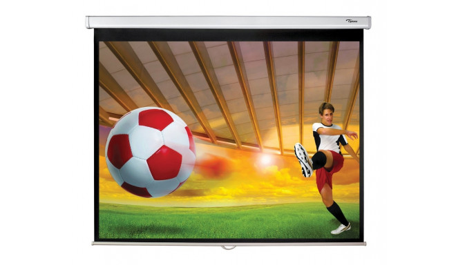 Optoma Projection screen 179x141 4:3