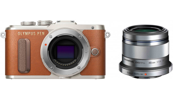 Olympus PEN E-PL8 + 45mm f/1.8, brown/silver