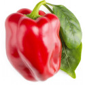 Click & Grow Smart Garden refill Punane paprika 3tk