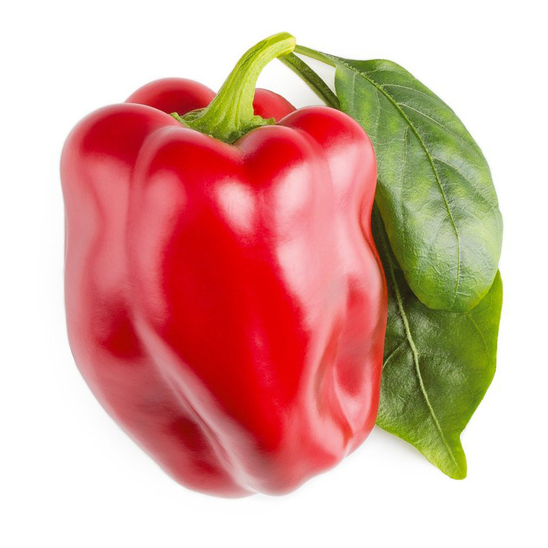 Click & Grow Smart Garden refill Punane paprika 3tk