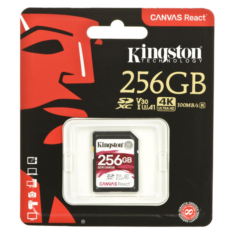 Kingston canvas 256. Kingston SD Card 256 GB. Карта памяти Kingston SDCR/32gb. Карта памяти Kingston SDR/128gb. Карта Кингстон красная 128 для видео.