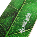 Longboard Street Surfing Fishtail The Leaf 42”