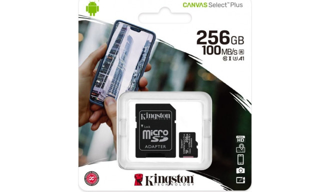 Kingston R100 128 GB microSDXC, memory card (black, UHS-I (U3), Class 10, V30, A2)
