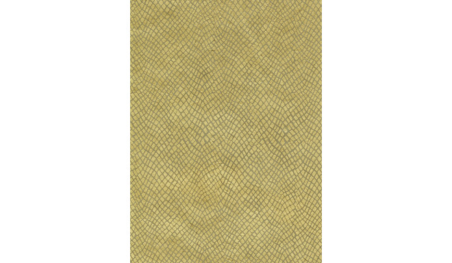 Nepaali paber A4 Snake Skin Gold on Slate