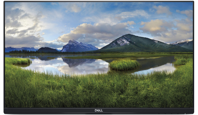 Dell monitor 23,8" LCD P2419H (ilma aluseta)