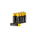 Alkaline Battery LR3 AAA (10pcs)