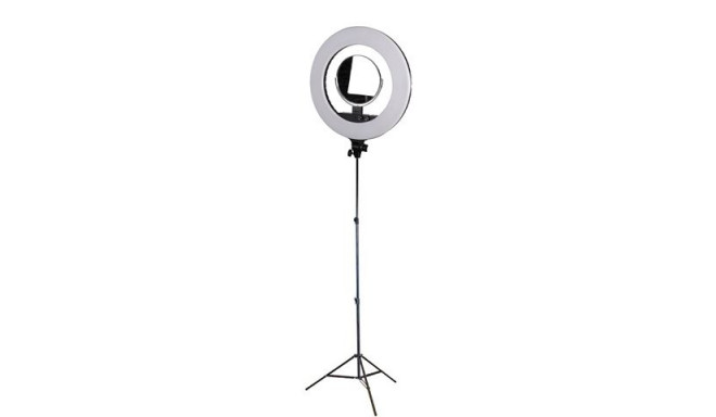 StudioKing LED Ring Lamp Set LED-480ASK with Light Stand