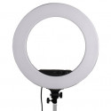 StudioKing LED Ring Lamp Set LED-480ASK with Light Stand