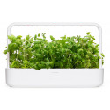 Click & Grow Smart Garden refill Apple Mint piparmünt 3tk