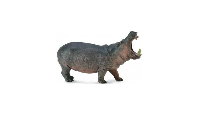 COLLECTA Hippopotamus (XL), 88833