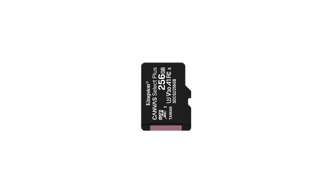 Kingston memory card microSDXC 256GB Canvas Select Plus 100R A1 C10
