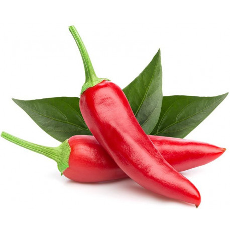 Click & Grow Smart Garden refill Tšillipipar 3tk