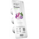 Click & Grow Smart Garden refill Petunia 3pcs