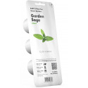 Click & Grow Smart Garden uzpilde Salvija 3gb.