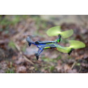 Revell kaugjuhitav droon Control Quadrotox, sinine