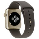 Apple Watch 2 42mm Gold Alu Case with Cocoa Sport Band