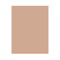 Revlon Colorstay Combination Oily Skin SPF15 (30ml) (295 Dune)