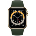 Apple Watch 6 GPS + Cellular 40mm Stainless Steel Sport Band, gold/cyprus green (M06V3EL/A)