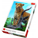 Trefl puzze Wild leopard 500pcs