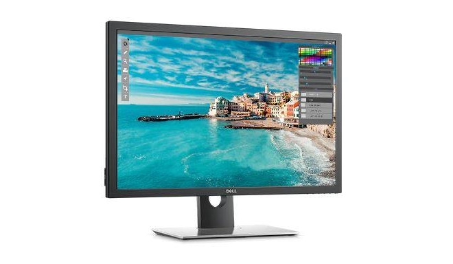 LCD Monitor|DELL|UP3017|30"|Business|Panel IPS|2560x1600|16:10|60Hz|Matte|8 ms|Swivel|Pivot|Height a