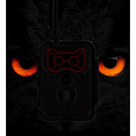 WildGuarder Whatcher1w-4G wide angle wireless 4G trail camera