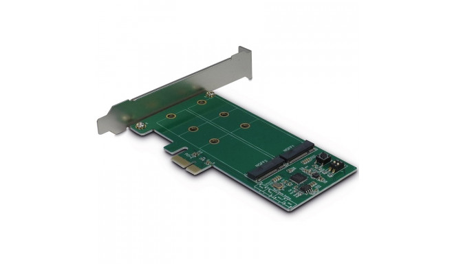 PCIe Adapter for two M.2 S-ATA drives/RAID (Drives 2xM.2 SSD, Host PCIe x1 v2.0), card