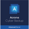Acronis Cyber Backup 15 Advanced Server Subsc