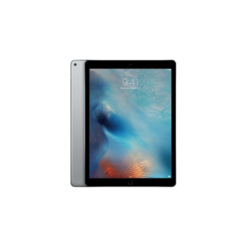 Серые планшеты. IPAD Pro 12.9 128gb. 12.9-Inch IPAD Pro Wi‑Fi + Cellular 128gb - Space Grey. Планшет Apple IPAD Pro 12.9 (2015) 128gb Wi-Fi. IPAD Pro 129.