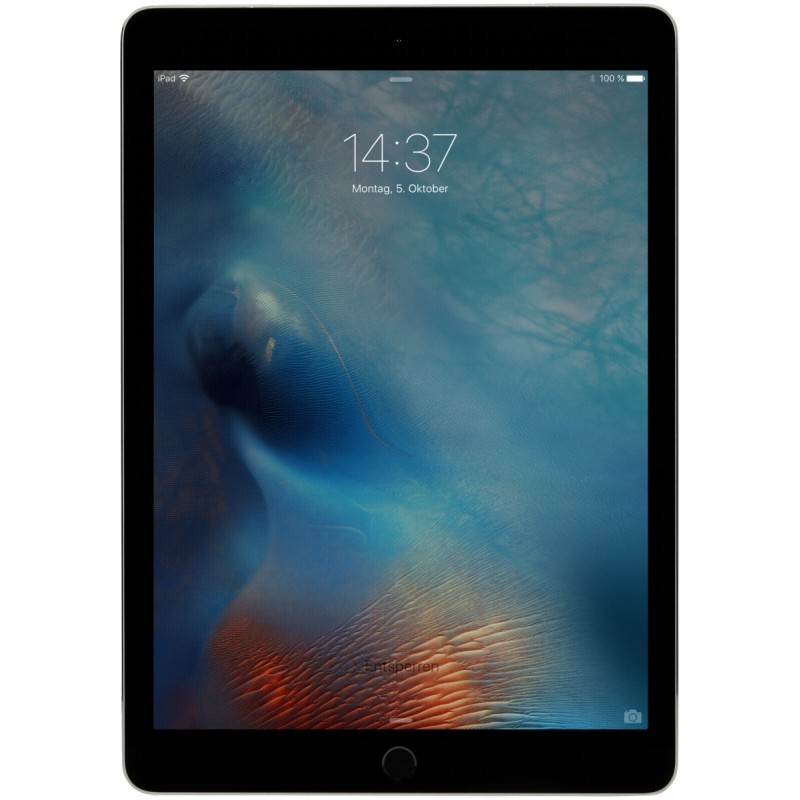 iPad Pro 9.7 Wi-Fi 32GB (ジャンク)タブレット