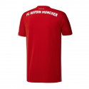 Meeste jalgpallisärk Adidas Bayern Monachium Home 20/21 M FR8358