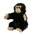 Chimpanzee puppet National Geographic