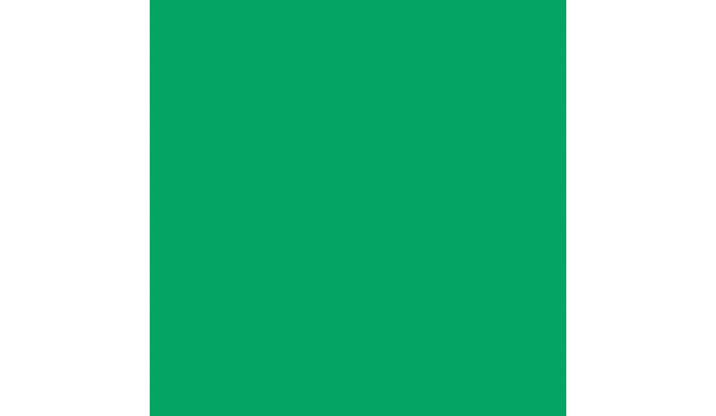 Falcon Eyes Background Paper 46 Chroma Green 2.18 x11 m