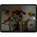 APPLE iPad Pro 12 WiFi 5th Gen 256GB grey - MHNH3FD / A