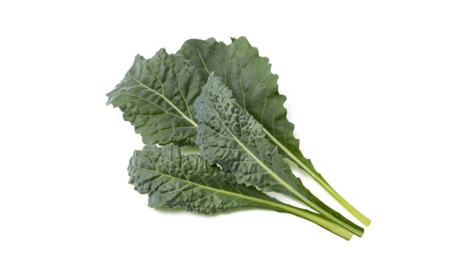 Click & Grow Smart Garden Refill Italian Kale 3pcs