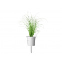 Click & Grow Smart Refill Ornam.Grass3tk