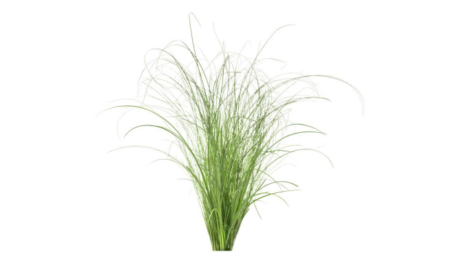 Click & Grow Smart Refill Ornamental Grass 3pcs