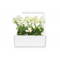 Click & Grow Smart Refill White Snapdragon 3pcs