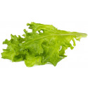 Click & Grow Smart Refill Oakleaf Lettuce 3pcs