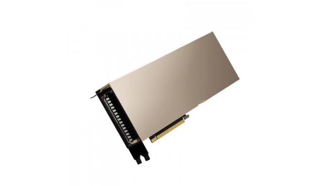 Graphic card Quadro A100 40GB HBM2 TCSA100M-PB