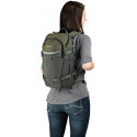 Lowepro backpack Flipside Trek BP 250 AW, grey
