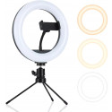 Platinet ring light PMRL8 Vlog LED Desktop 8"