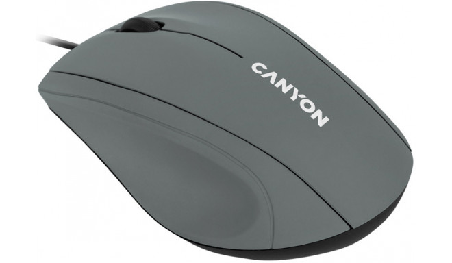 Canyon mouse M-05, grey