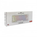 White Shark Shinobi GK-2022 white/red