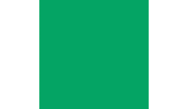 Falcon Eyes Background Paper 46 Chroma Green 0.57 x11 m