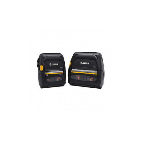 Zebra exoskeleton case