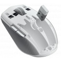 Razer wireless mouse Pro Click Mini