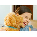 MOJI Interactive toy Labradoodle - English version