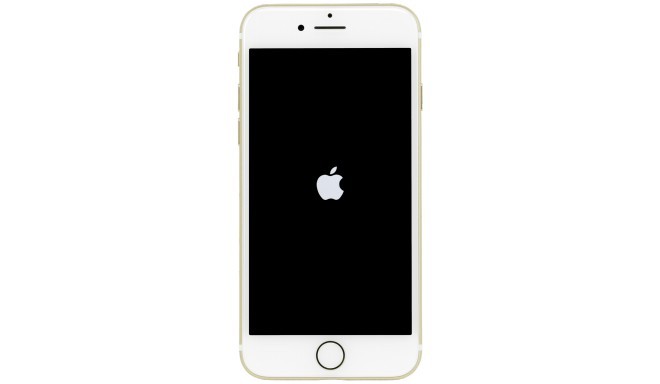 Apple iPhone 7              32GB Gold                   MN902ZD/A