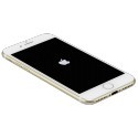 Apple iPhone 7              32GB Gold                   MN902ZD/A